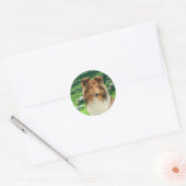 Shelties Lood #2 Stickers (Envelop)