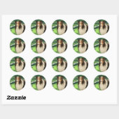 Shelties Lood Sticker (Vel)