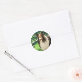 Shelties Lood Sticker (Envelop)