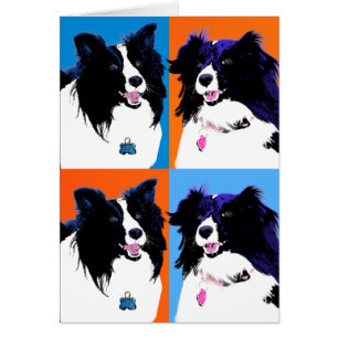 Shelties Pop Art
