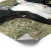 Shelton Goat Boerderij Poster (Hoek)