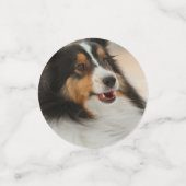 Shelty Confetti (Kleine voorkant)
