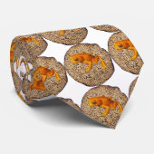 Shemura Matzah & Frog Stropdas (Opgerold)