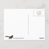 Shenandoah Sunset Nationaal Park Landschap Briefkaart (Achterkant)