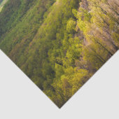 Shenandoah Valley Tissuepapier (Detail)