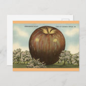 Shenandoah Valley, Virginia Giant Apple Carte post (Devant / Derrière)