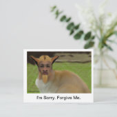 Shenart's Apologiekaart Briefkaart (Staand voorkant)