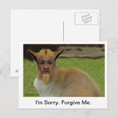 Shenart's Apologiekaart Briefkaart (Voorkant / Achterkant)