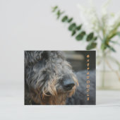 Shepadole Profile Closeup Photographic Briefkaart (Staand voorkant)