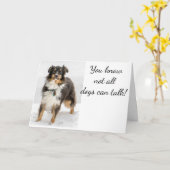 SHEPHERD AUSTRALIEN NOUS ENVOIE UNE CARTE D'ANNIVE (Fleur jaune)