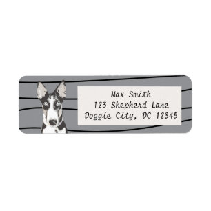 Shepherd Border Collie Etiket
