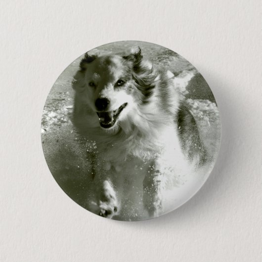 Shepherd Dog rijdt op sneeuw, Ronde Button 5,7 Cm (Voorkant)