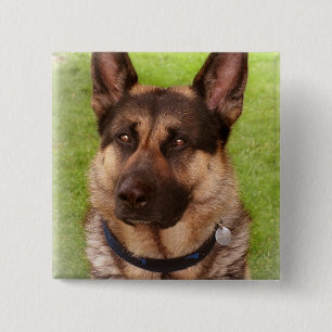 Shepherd Dog Square Pin Vierkante Button 5,1 Cm