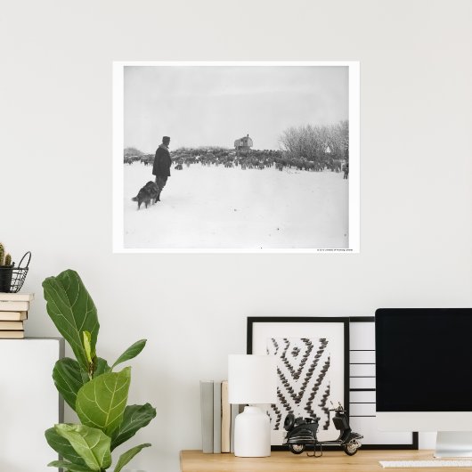 Shepherd en hond in het schapenkamp poster (Thuiskantoor)
