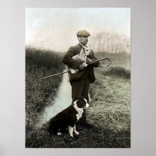 Shepherd met Lamb en Border Collie~Poster Poster
