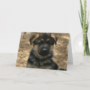 Shepherd Puppy Wenskaart Kaart