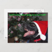 Shepherd xmas briefkaart (Voorkant / Achterkant)