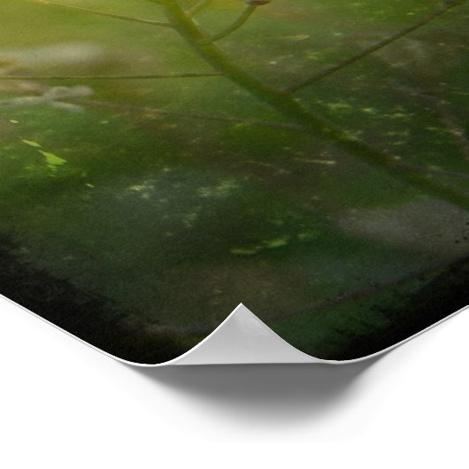 Shepherd's Purse Poster (Hoek)