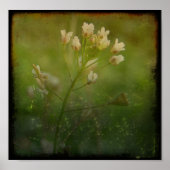 Shepherd's Purse Poster (Voorkant)