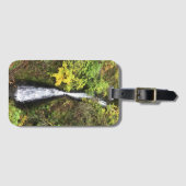Shepperd's Dell-Herfsten, Columbia River Gorge, OF Bagagelabel (Voorkant (horizontaal))