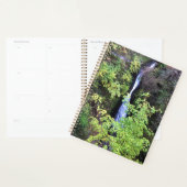 Sheppherd's Dell Falls (Devant avec enveloppe)