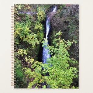 Sheppherd's Dell Falls