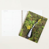 Shepphers Dell Falls, Gorge de Columbia, OR (Devant avec enveloppe)