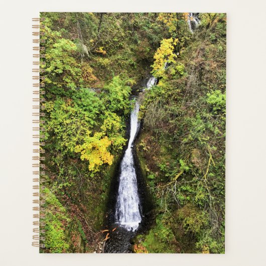 Shepphers Dell Falls, Gorge de Columbia, OR (Devant)