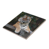 Shere-Khan-b-15 Tegeltje (Zijkant)