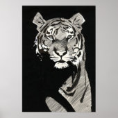 Shere Khan Poster (Voorkant)