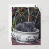 Sherlock Potted Briefkaart (Voorkant / Achterkant)