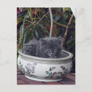 Sherlock Potted Briefkaart