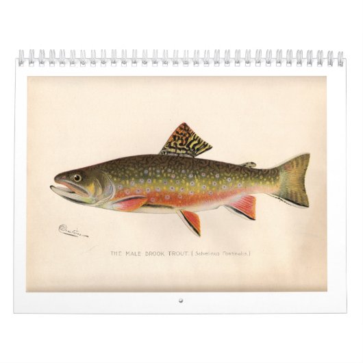 Sherman Denton Trout Calendar 2014 Kalender (Hoes)