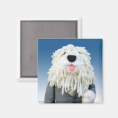 Sherman Sheepdog Magnet (Recto/Verso)