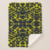 Sherpa Art Abstrait Peinture D'Une Couverture De Jeu (Devant)