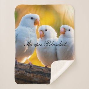 Sherpa Blanket Sherpa Deken