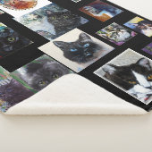 Sherpa Cats - Couverture Kitties (3/4)