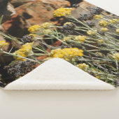 Sherpa Couverture (3/4)