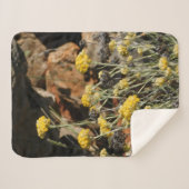 Sherpa Couverture (Devant (Horizontal))