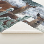 Sherpa couverture cerf curiosité (3/4)