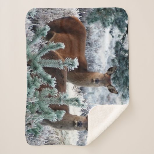 Sherpa couverture cerf curiosité (Devant)
