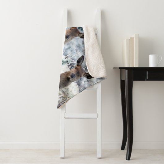 Sherpa couverture cerf curiosité (En situation)