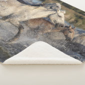 Sherpa couverture de chevaux de course (3/4)