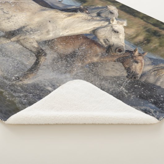 Sherpa couverture de chevaux de course (3/4)