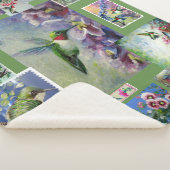 Sherpa couverture de colibri (3/4)