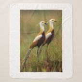 Sherpa Couverture de l'oiseau Jacana africain (Devant)