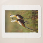 Sherpa Couverture de l'oiseau Jacana africain (Devant (Horizontal))