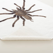 Sherpa Couverture Tarantula (3/4)