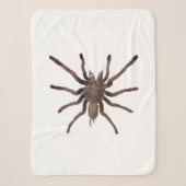 Sherpa Couverture Tarantula (Devant)