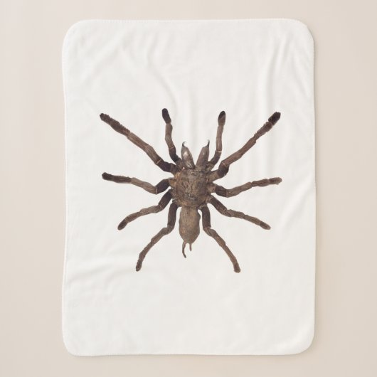 Sherpa Couverture Tarantula (Devant)